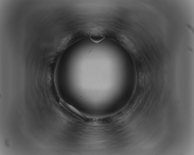 X0000097750259200803071255