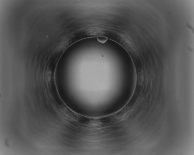 X0000097750263200803071255