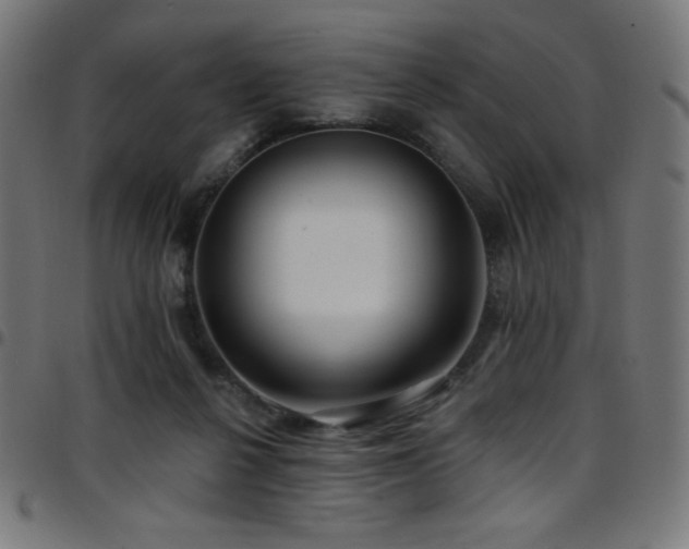 X0000097750264200803071255