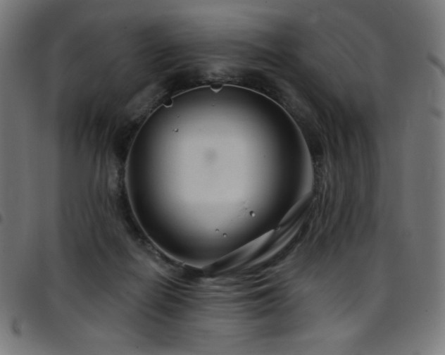 X0000097750266200803071255