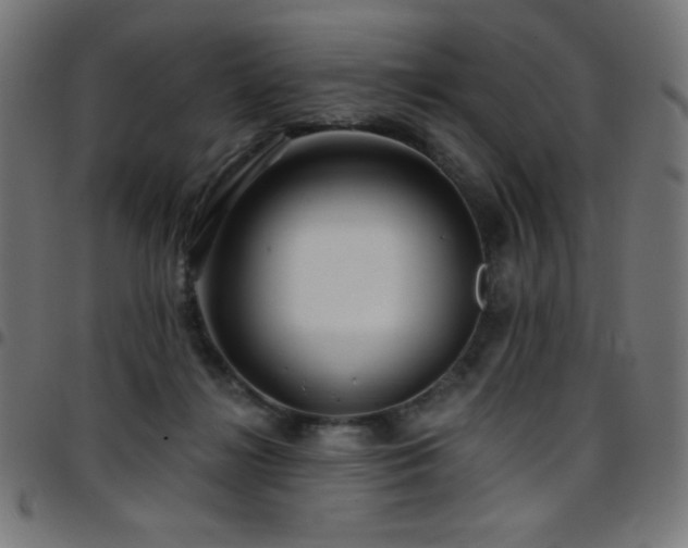 X0000097750268200803071255