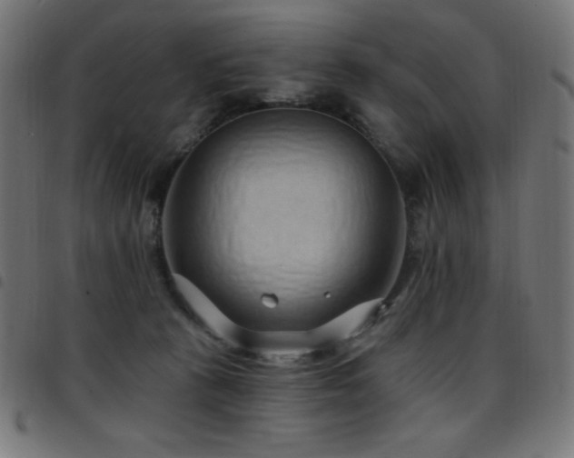 X0000097750273200803071255