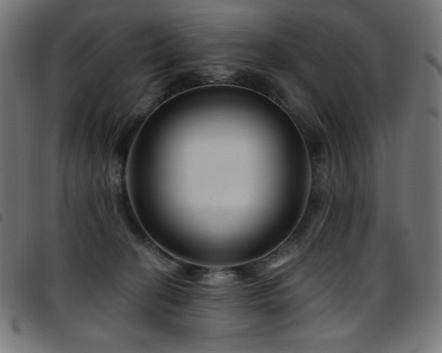 X0000097750274200803071255