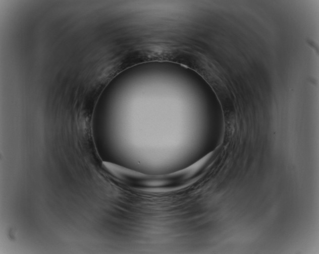 X0000097750276200803071255