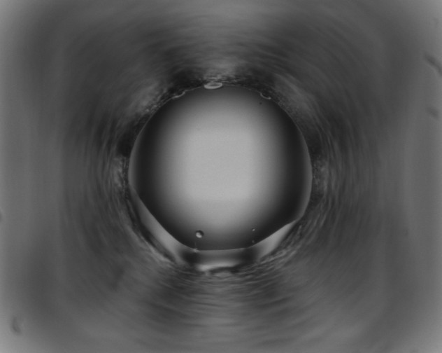 X0000097750280200803071255