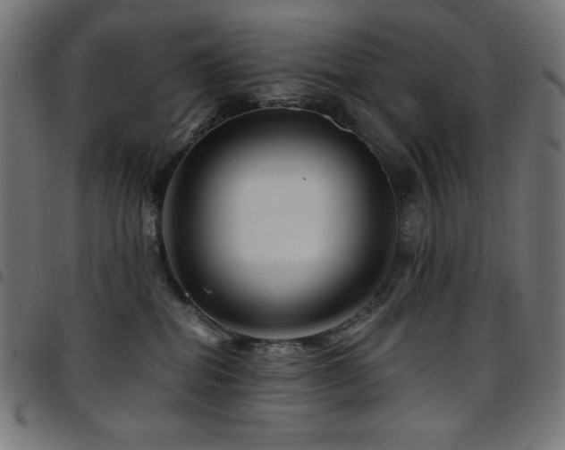 X0000097750282200803071255