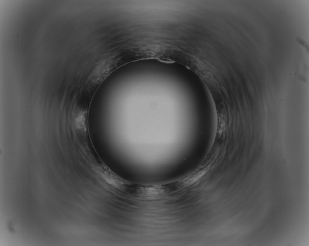 X0000097750286200803071255