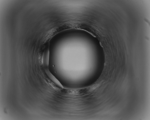 X0000097750288200803071255