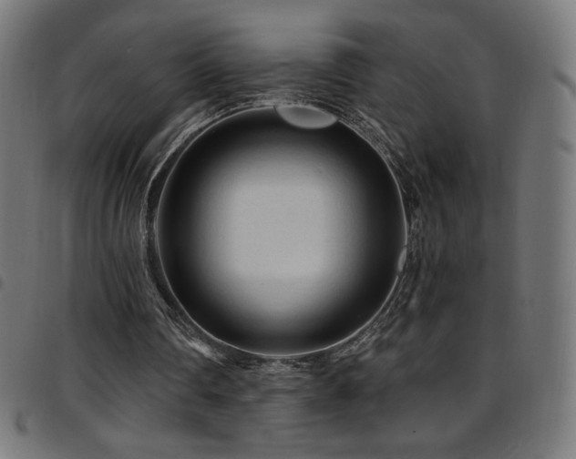 X0000097750290200803071255