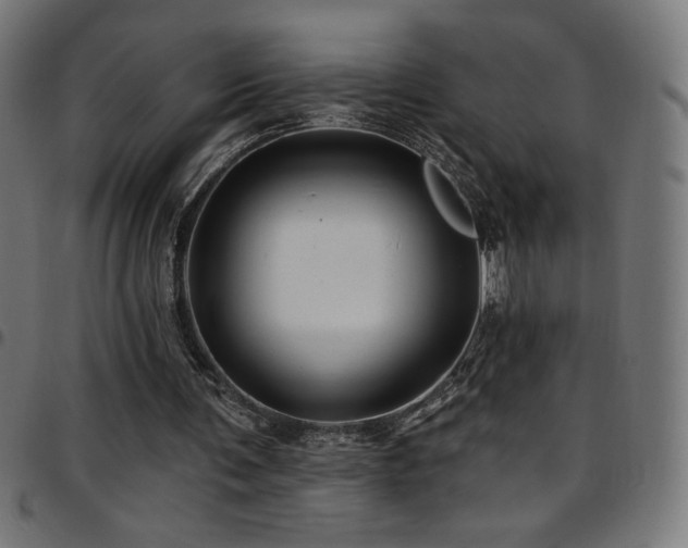 X0000097750291200803071254