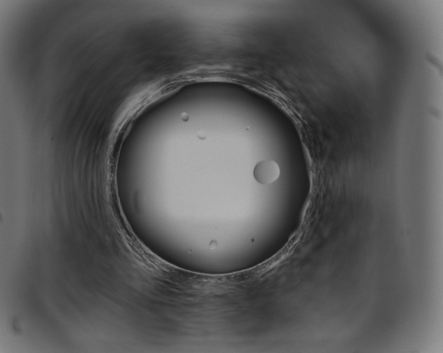 X0000097750293200803071254