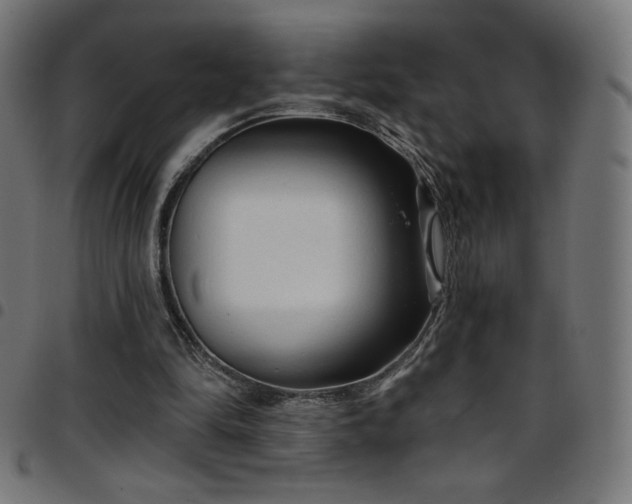 X0000097750294200803071254