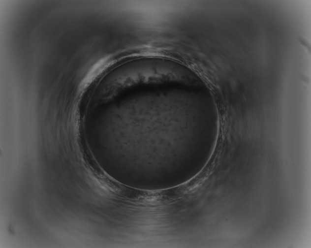 X0000097750295200803071254