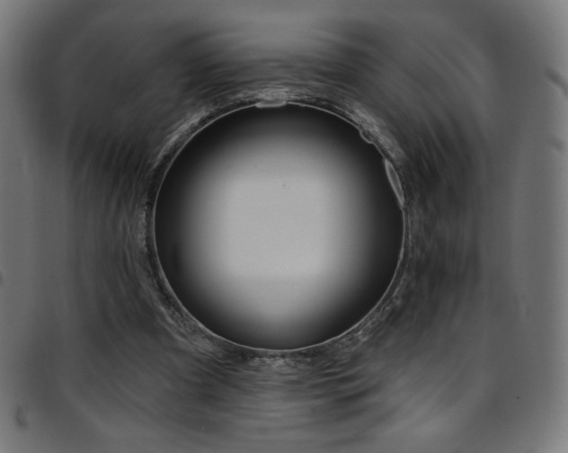 X0000097750297200803071254