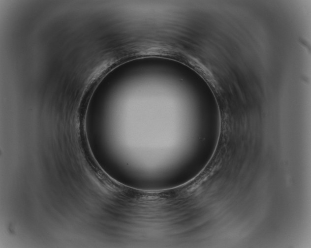 X0000097750298200803071254