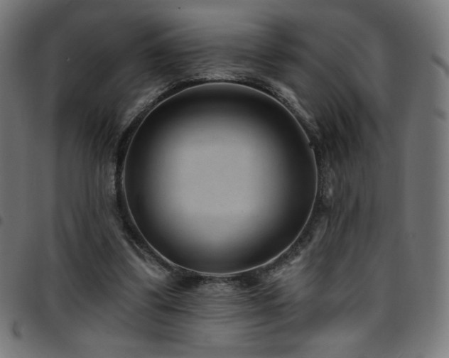 X0000097750299200803071254