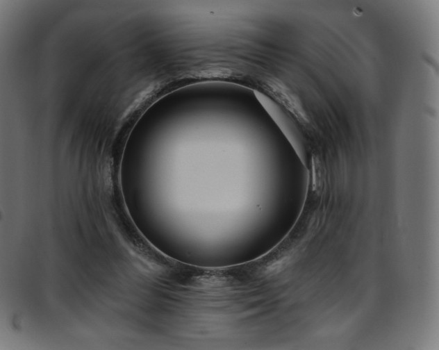 X0000097750300200803071254