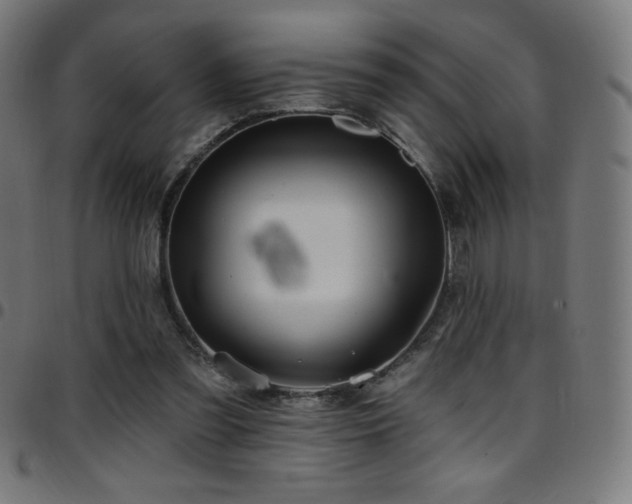 X0000097750301200803071254