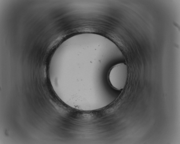X0000097750302200803071254