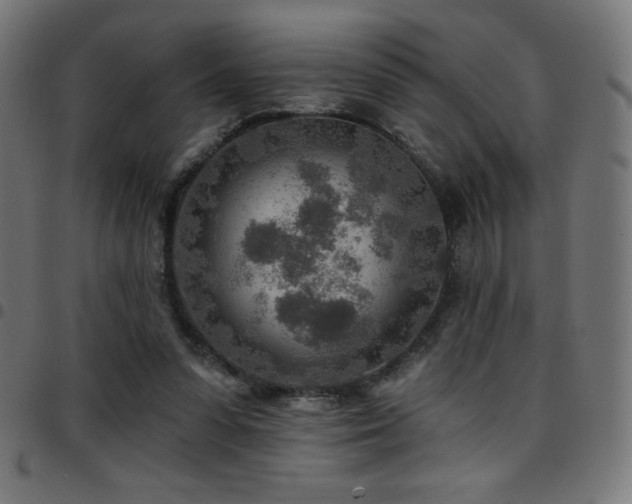 X0000097750303200803071254