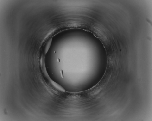 X0000097750304200803071254