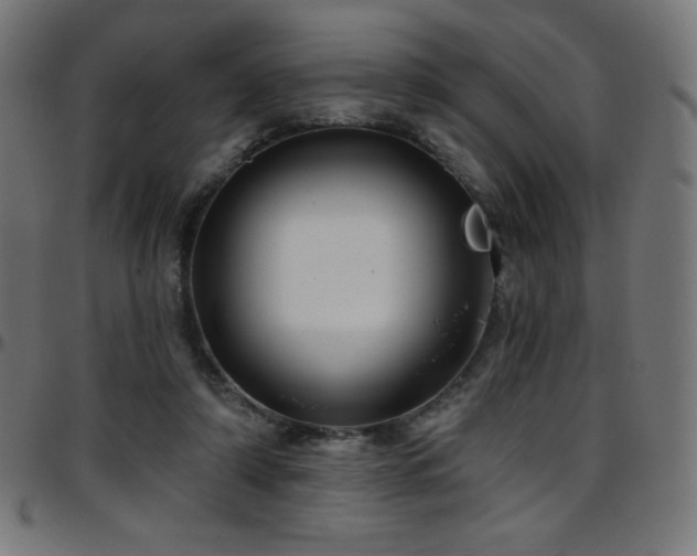 X0000097750306200803071254