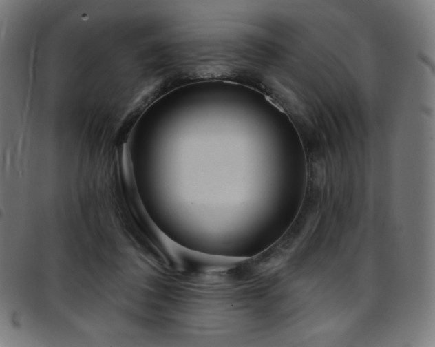 X0000097750308200803071254