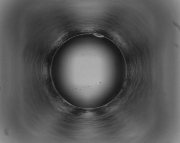 X0000097750312200803071254