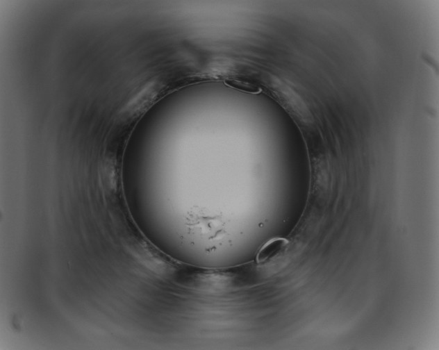 X0000097750313200803071254