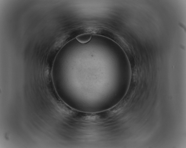 X0000097750314200803071254