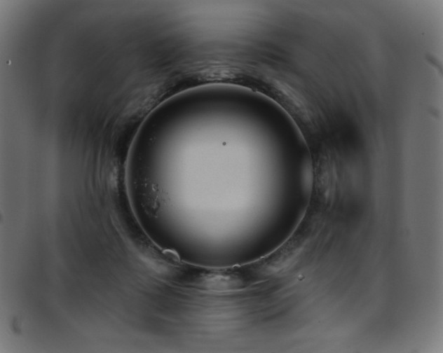 X0000097750315200803071254