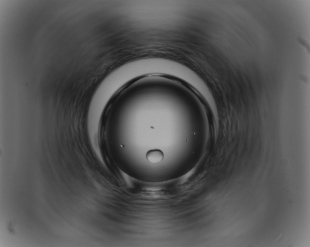X0000097750316200803071254