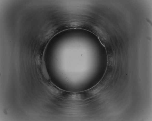X0000097750317200803071254
