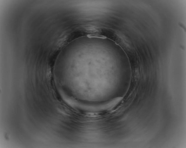 X0000097750320200803071254