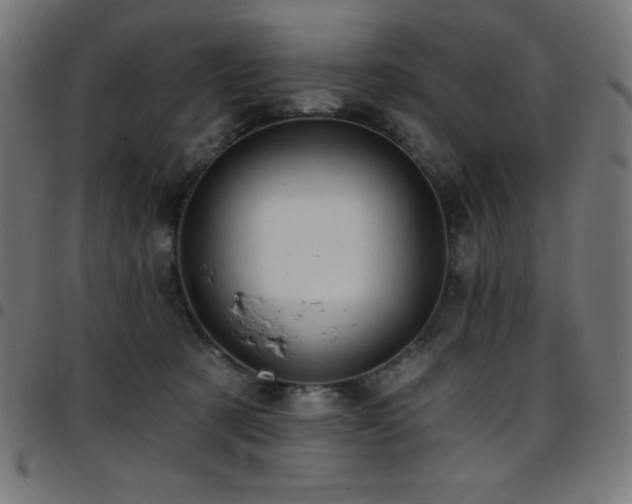 X0000097750321200803071254
