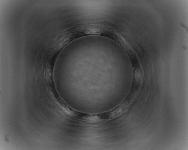 X0000097750322200803071254