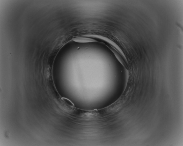 X0000097750323200803071254