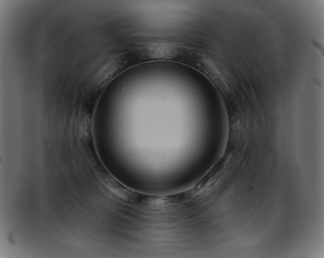 X0000097750325200803071254