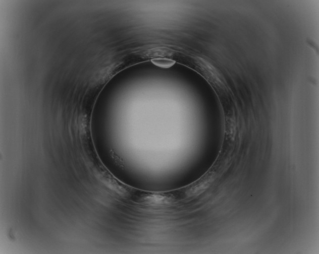 X0000097750326200803071254