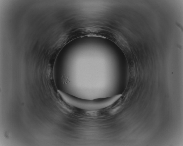 X0000097750328200803071254