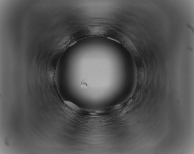 X0000097750329200803071254