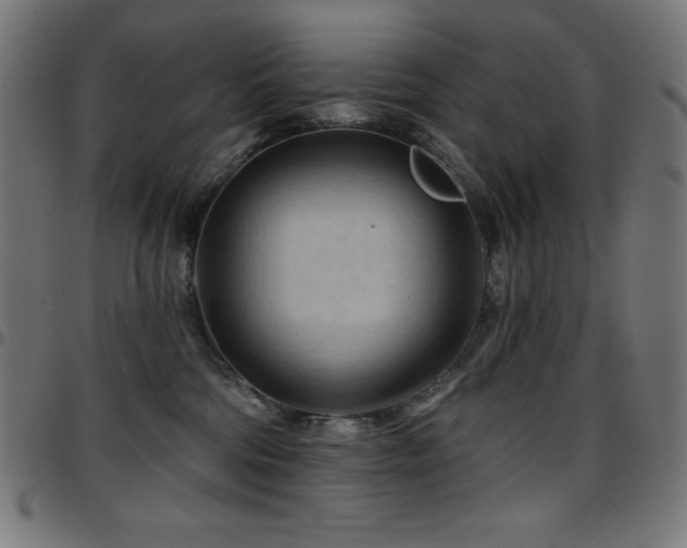 X0000097750330200803071254