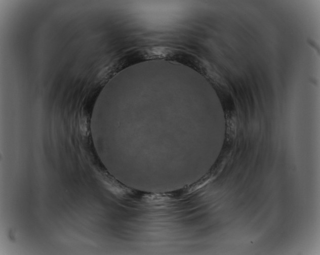 X0000097750331200803071254