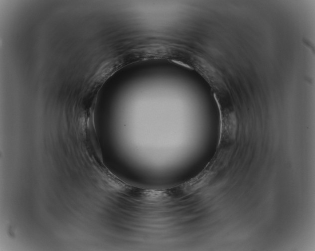 X0000097750333200803071254