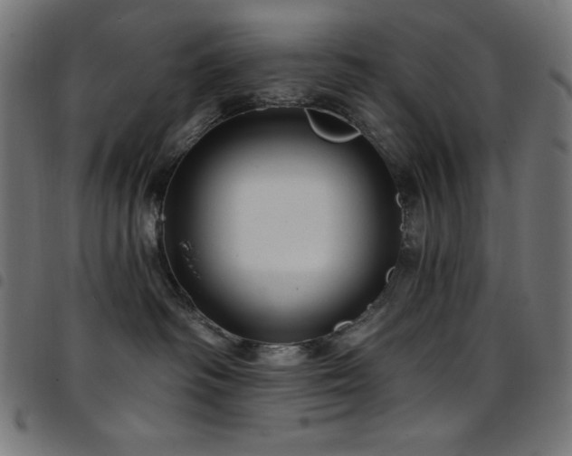 X0000097750334200803071254