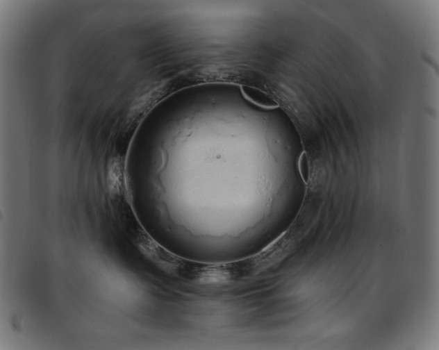 X0000097750335200803071254