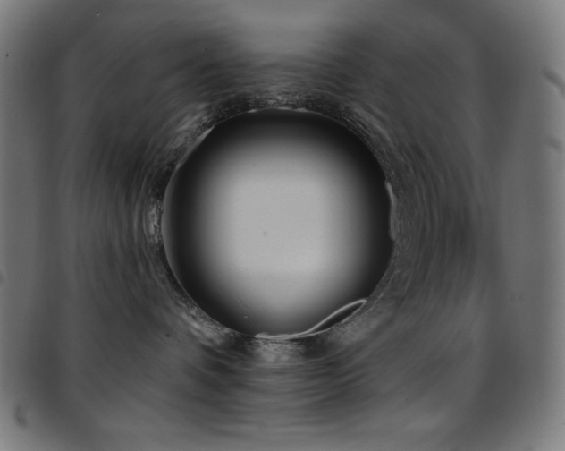 X0000097750336200803071254