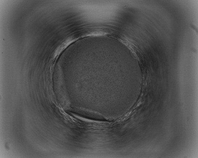 X0000097750337200803071253