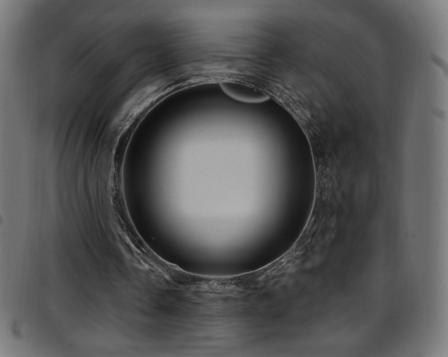 X0000097750338200803071253
