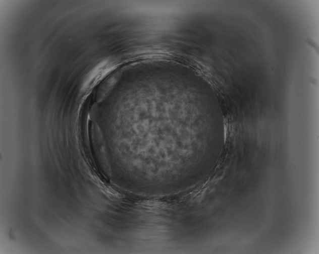 X0000097750339200803071253